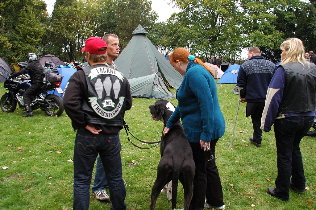DSC_0051.JPG