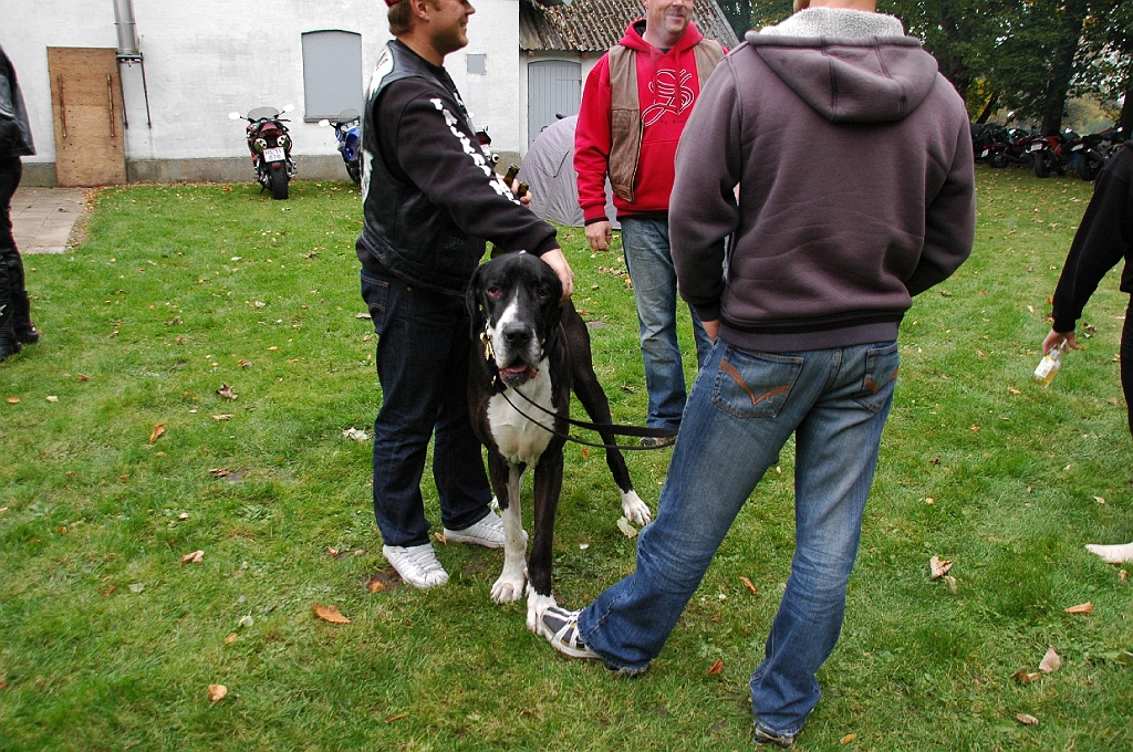 DSC_0061.JPG